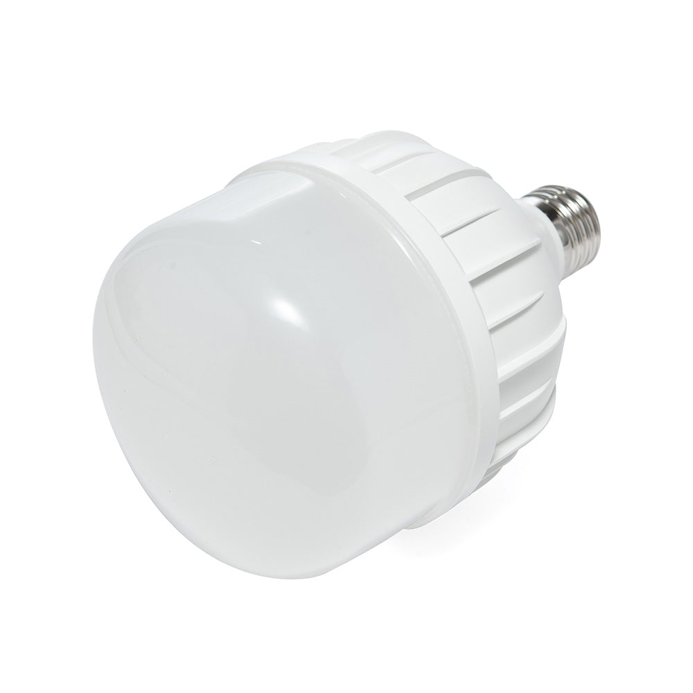 FOCO LED DE ALTA POTENCIA T DE LUZ FRÍA 30W E27